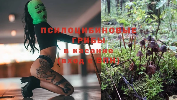 кокаин перу Вяземский