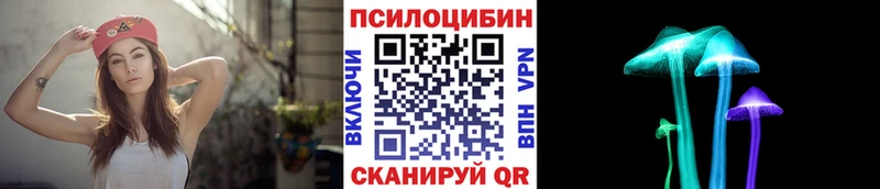 Галлюциногенные грибы Psilocybe  Купить закладки  Таштагол 